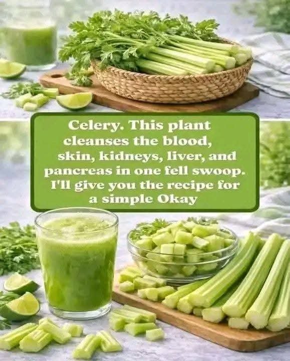 FB_IMG_1770302289785