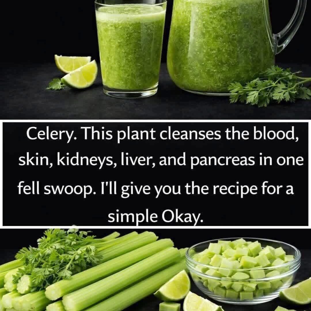 FB_IMG_1771408524063